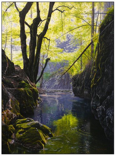 The gorge of the Great White Water in the Slovak Paradise by Emil Mlynárčik, Painting for Sale on Select
