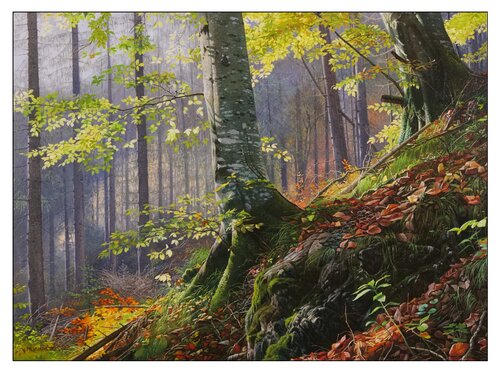 Old beech trees in the forest by Emil Mlynárčik, Painting for Sale on Select