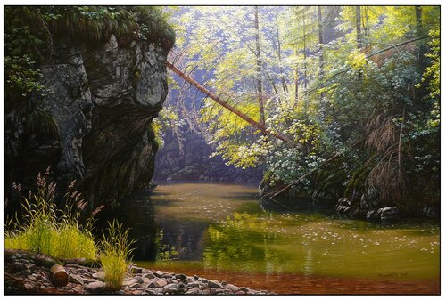 Sunny moment in the dark corner of the Hornád River by Emil Mlynárčik, Painting for Sale on Select