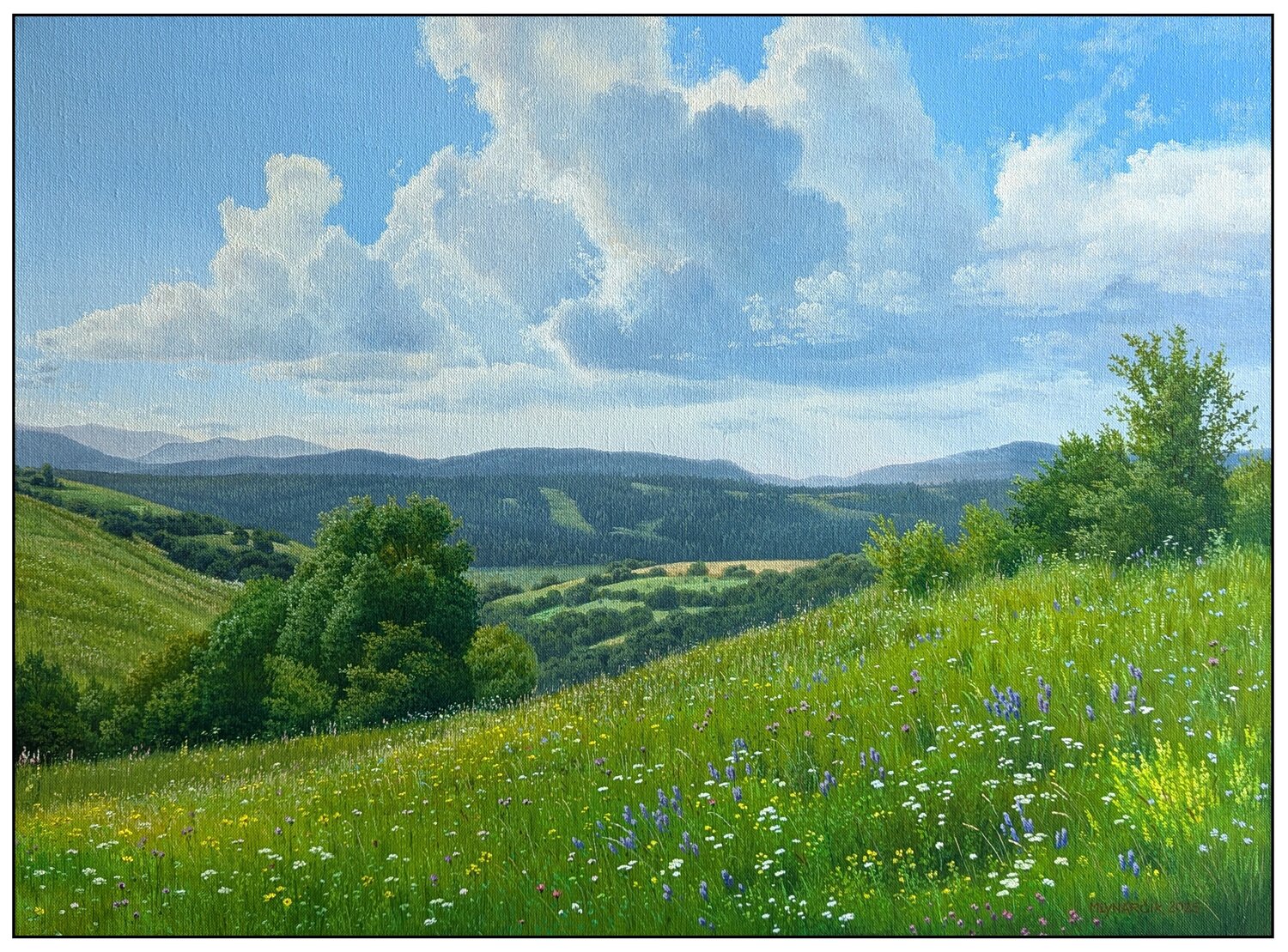 Meadows of early summer Emil Mlynárčik Original painting for sale
