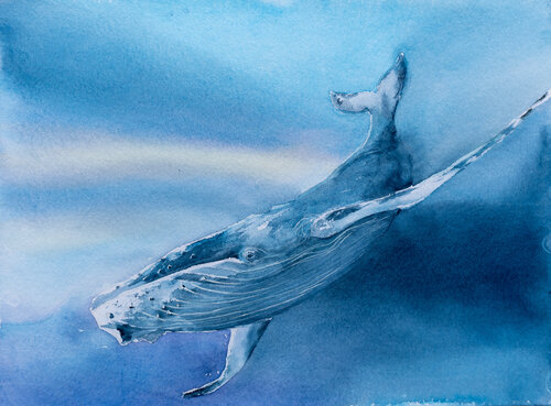 Sonar by Yuriy Kraft, Work on Paper for Sale on Select
