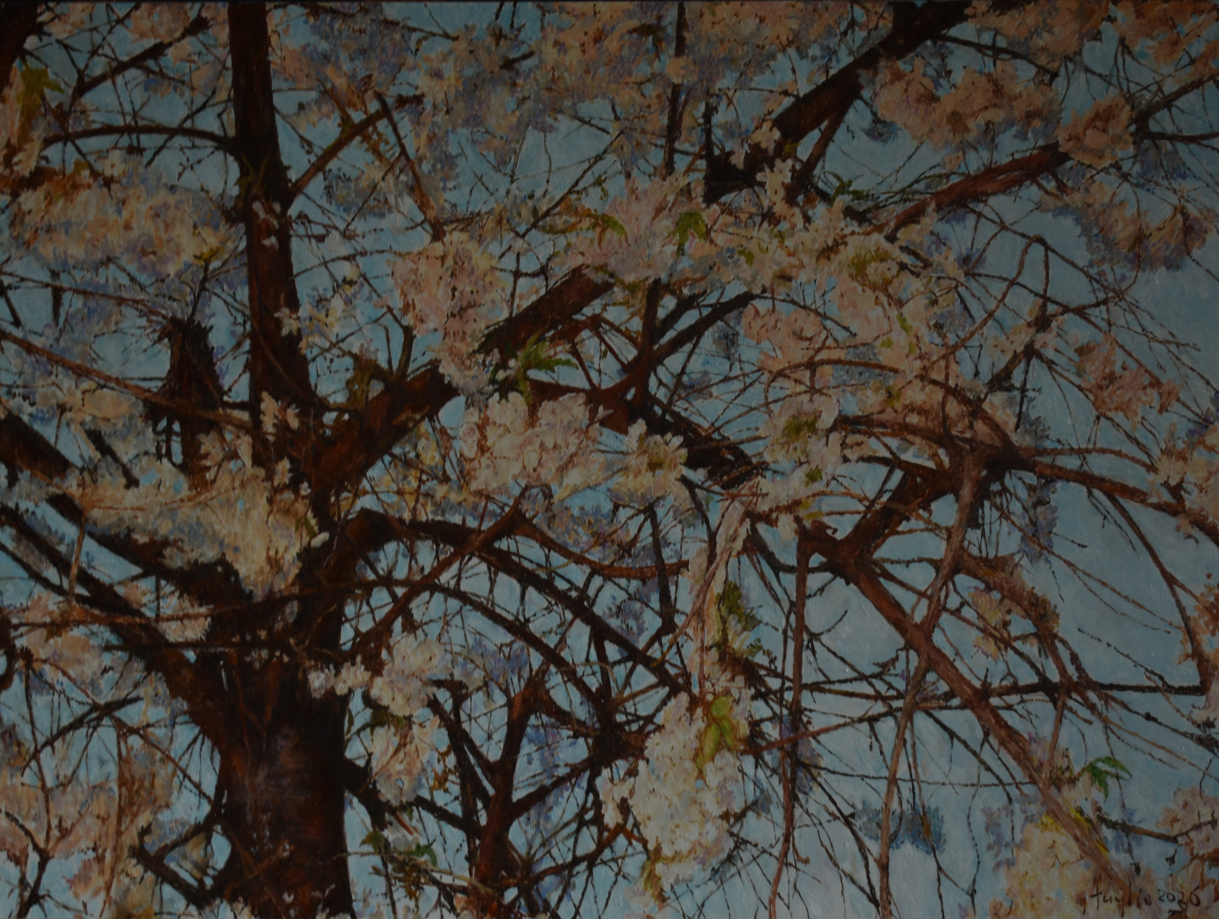 Topic Clearance paintings