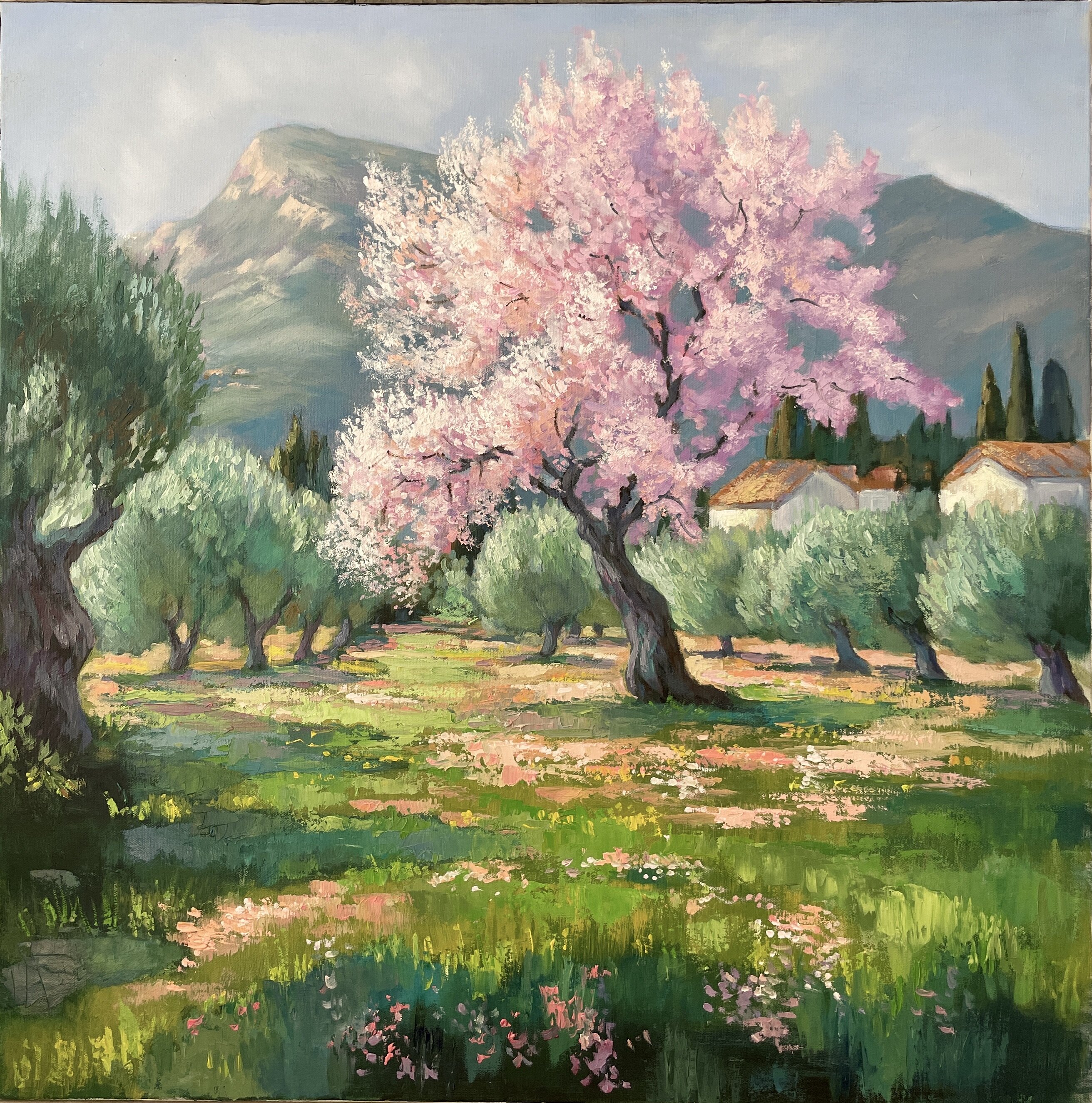 Mediterranean Spring
