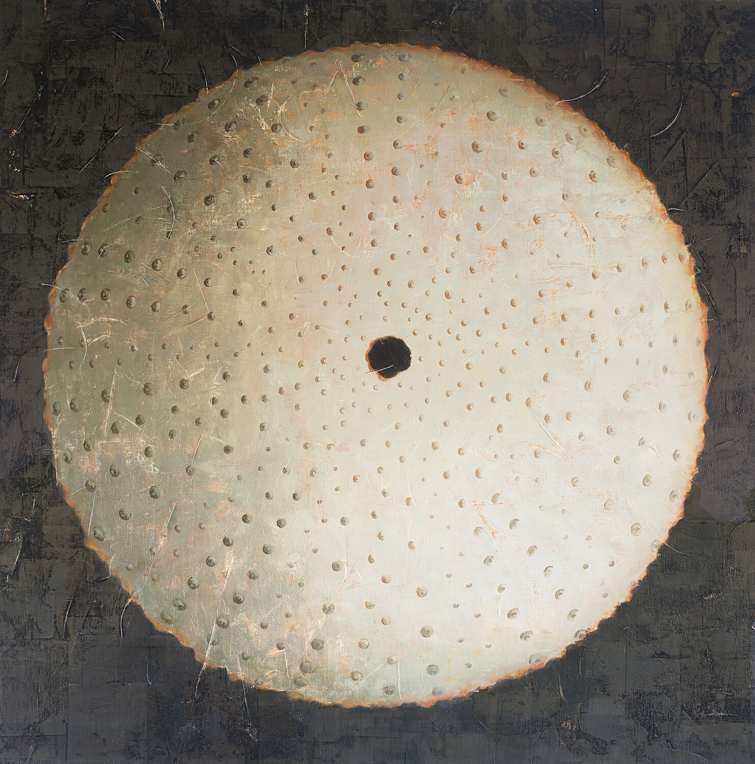 ERIZO DE MAR II Tomasa Martín Original painting for sale
