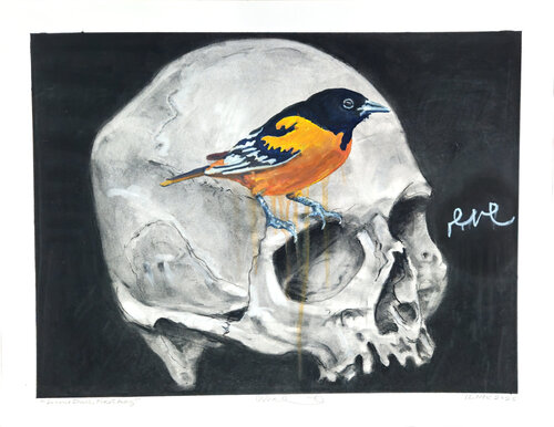 Second Skull First Lady by Shelton Walsmith, Drawing for Sale on Select