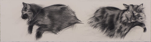 Estudios de gatos by Juan Manuel Alvarez Cebrián, Drawing for Sale on Select