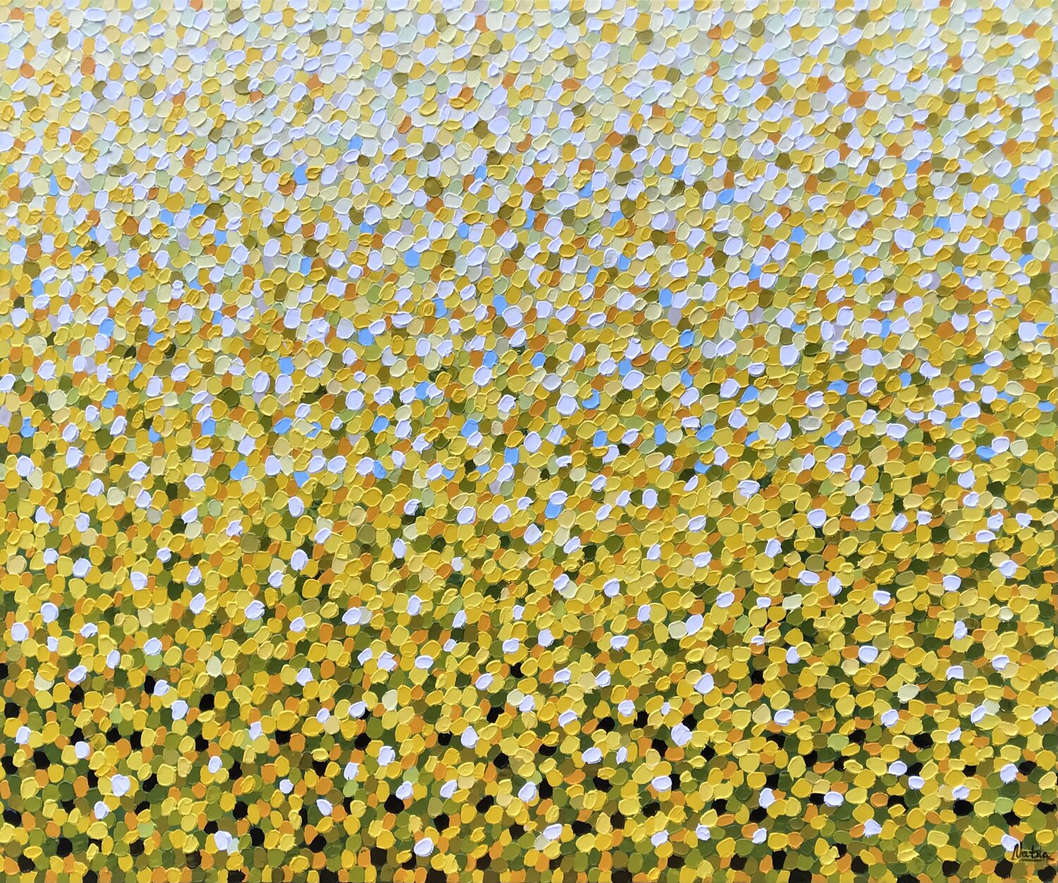 Sea of Sunshine Natalia Nosek (NATXA) Original painting for sale