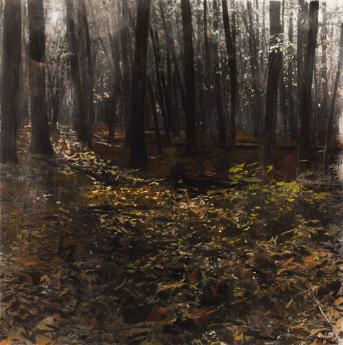 Forest Floor von Casey McKee, Malerei kaufen auf Select