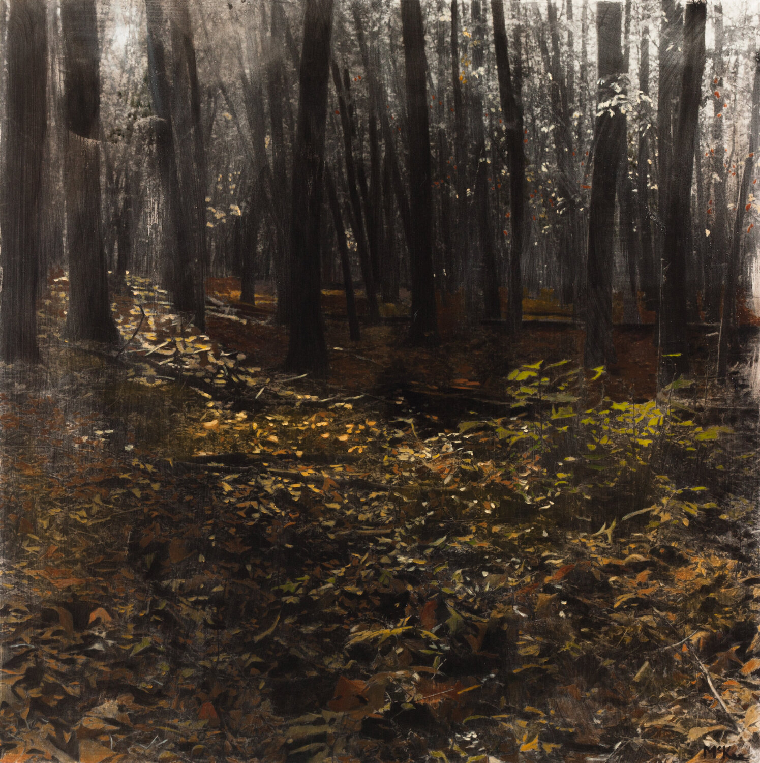 Forest Floor Casey McKee Original painting for sale