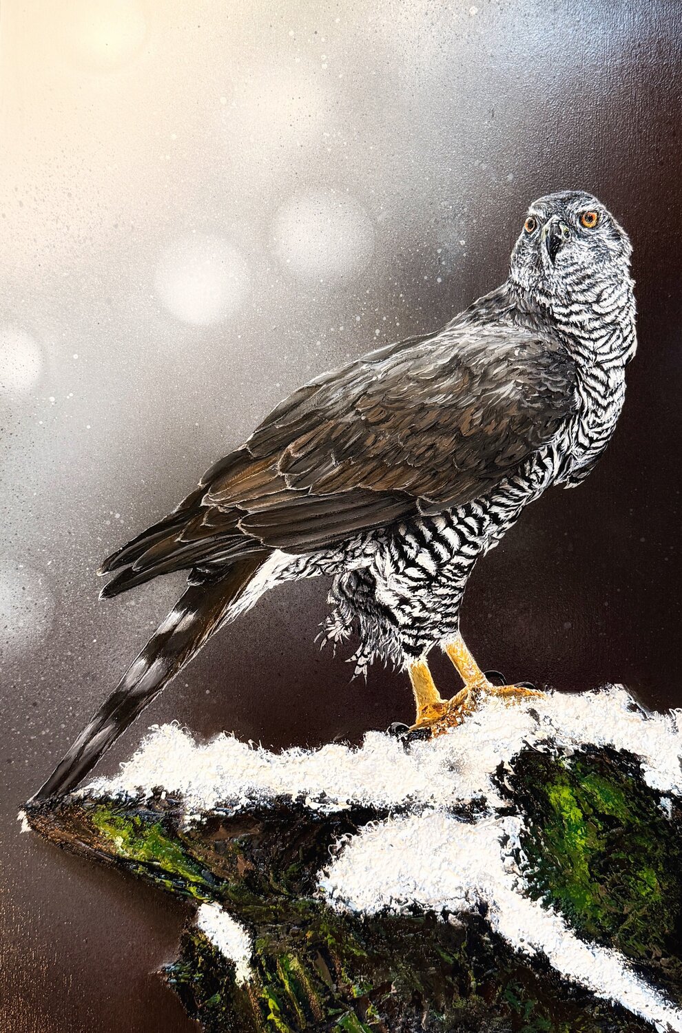 Bird #29 ( European goshawk) Selene's Art Original painting for sale