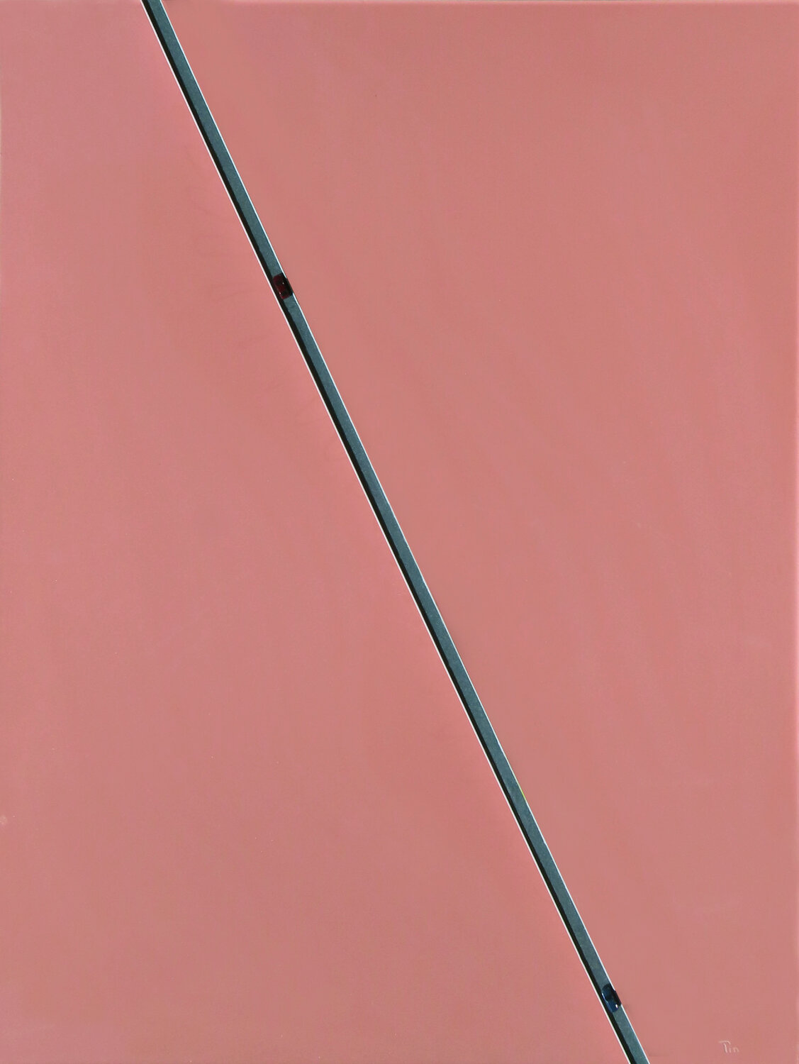 ÉCOSYSTÈME BRISÉ Pin Vega Original painting for sale