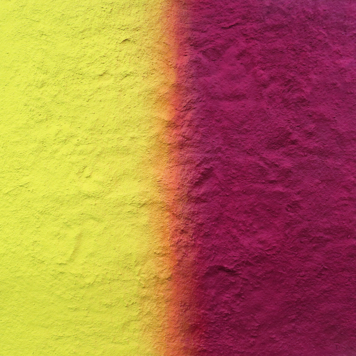 Royal Gramma Pin Vega Original painting for sale