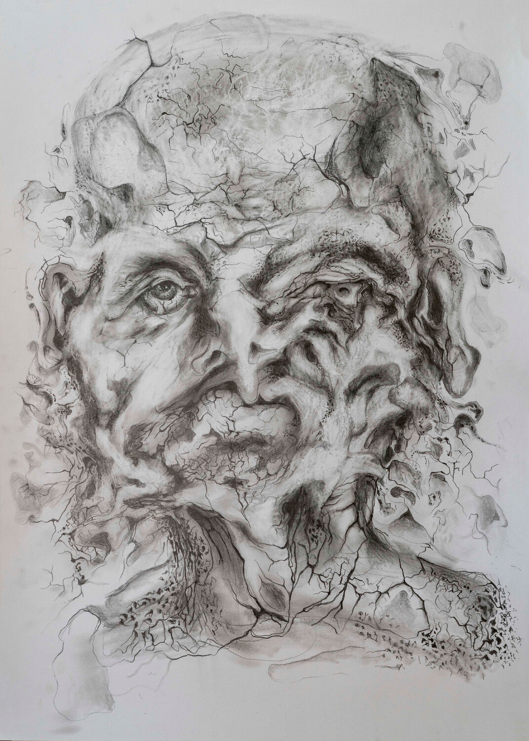 Kopf 54 Wolfgang Eckert Drawing for sale