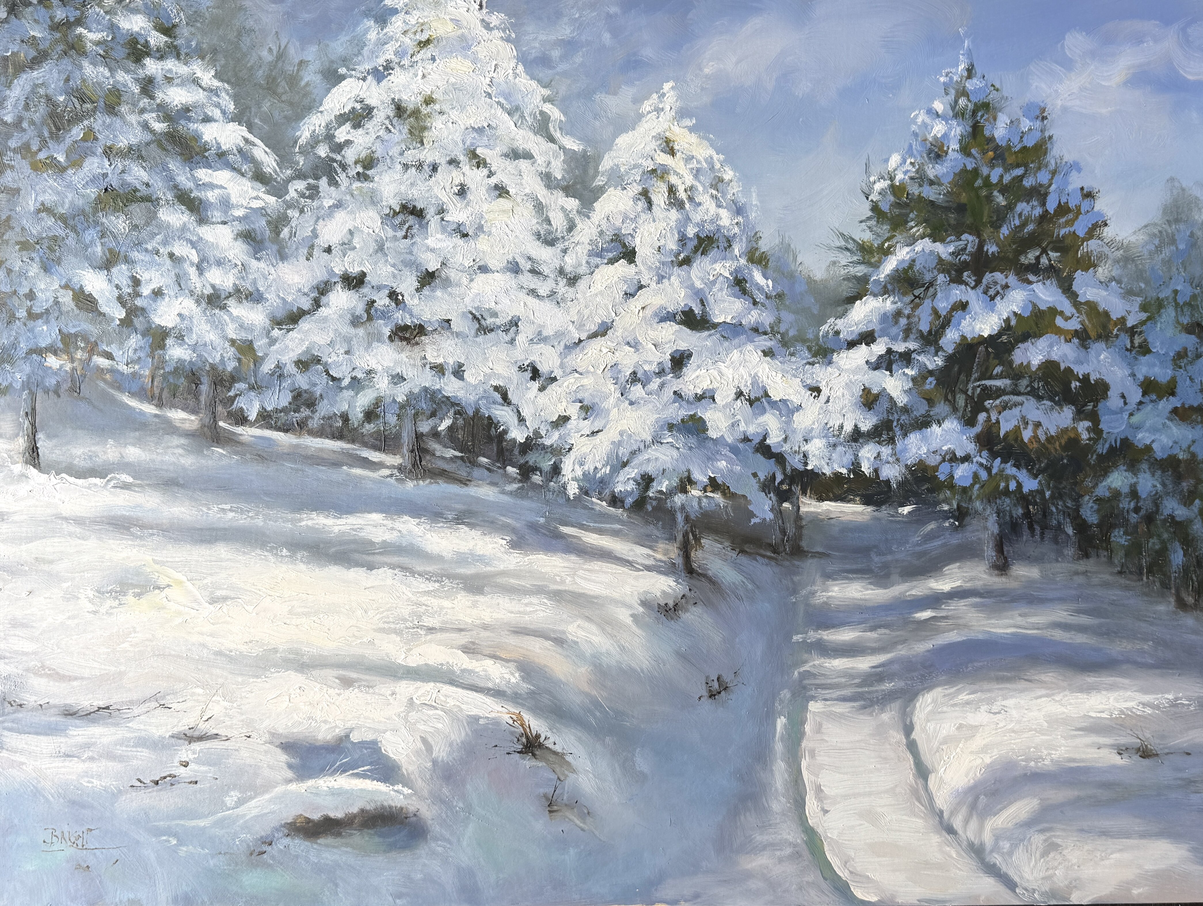 A Snowy Path