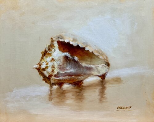 Seashell by Julia Bright, Painting for Sale on Select