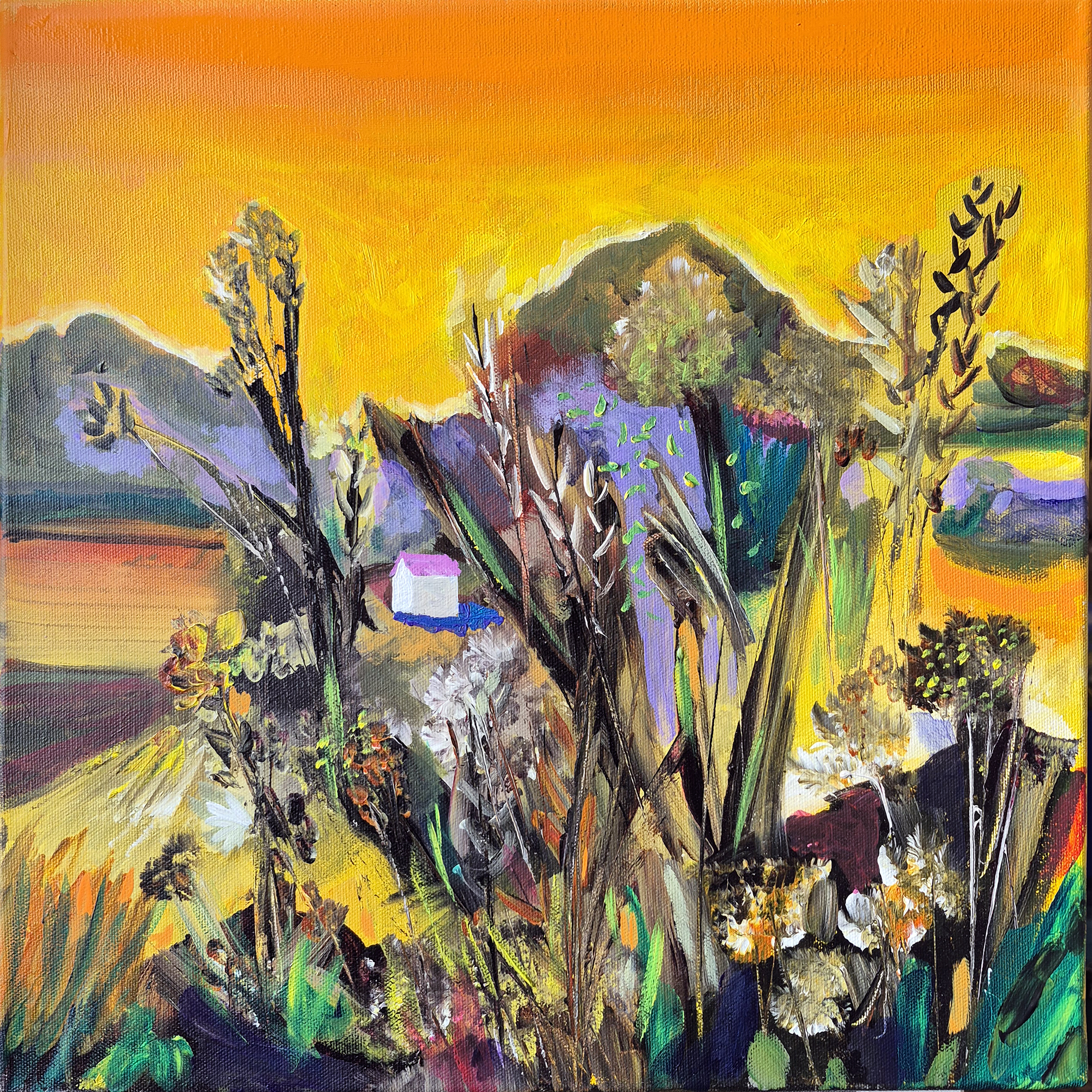 Fleurs de colline