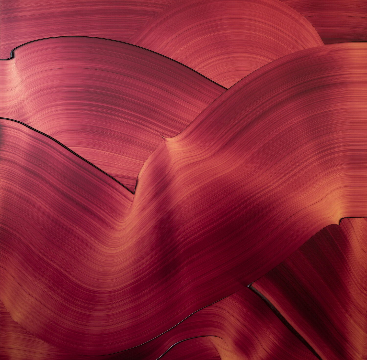 Namib Christoph Schrein Original painting for sale