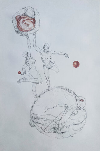 My Heart Is a Red Parrot von Sol KJOK, Zeichnungen kaufen auf Select