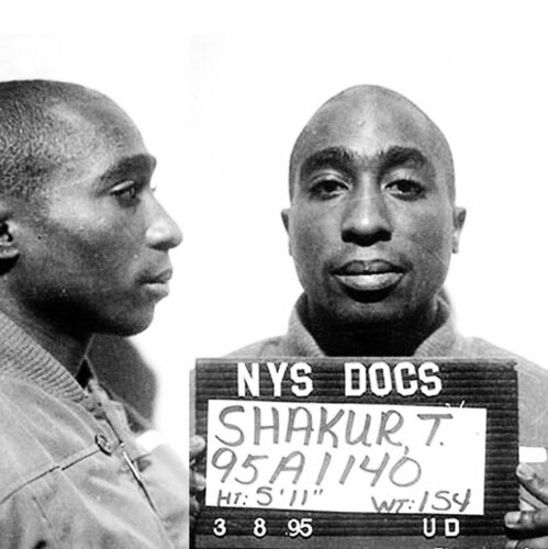 Tupac Shakur Mug Shot Mugshot von Tony Rubino, Malerei kaufen auf Select
