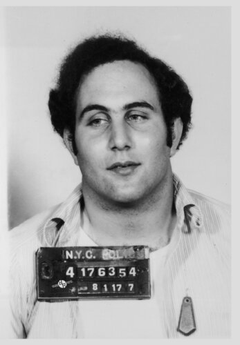 Son of Sam David Berkowitz Mug Shot 1977 Vertical von Tony Rubino, Malerei kaufen auf Select