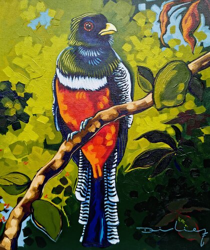 Trogón acollarado by Didier Franco, Painting for Sale on Select