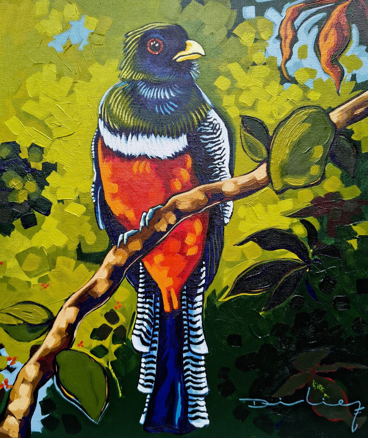 Trogón acollarado Didier Franco Original painting for sale