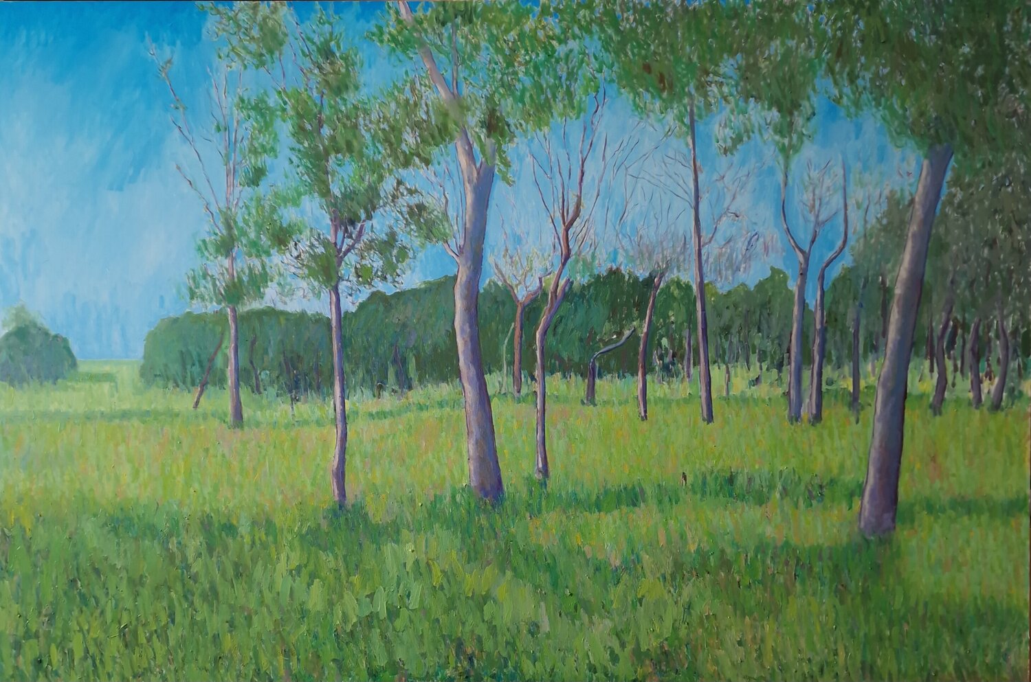 pinewood, afternoon Luca Raimondi Original painting for sale