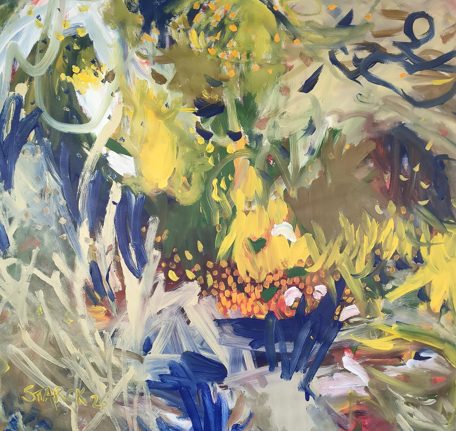 Blooming Acacia Emily Starck Original painting for sale