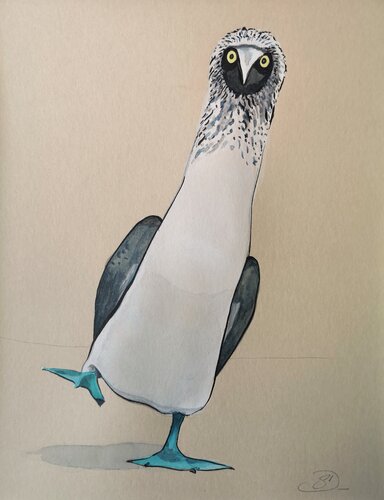 Fou à pieds bleus by Sabine Ducarn, Drawing for Sale on Select