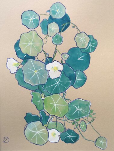 Capucines by Sabine Ducarn, Drawing for Sale on Select