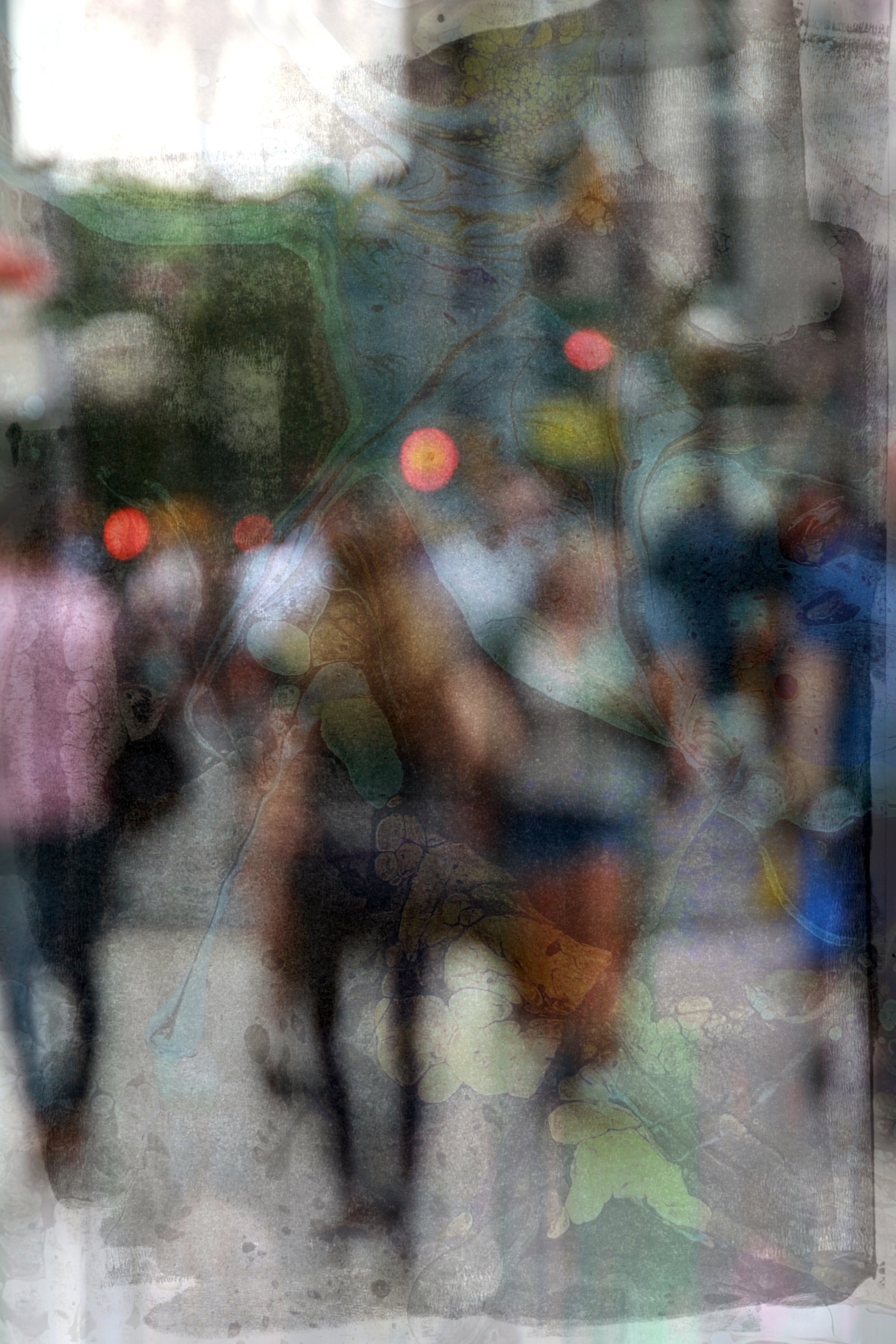 Coming Into Focus