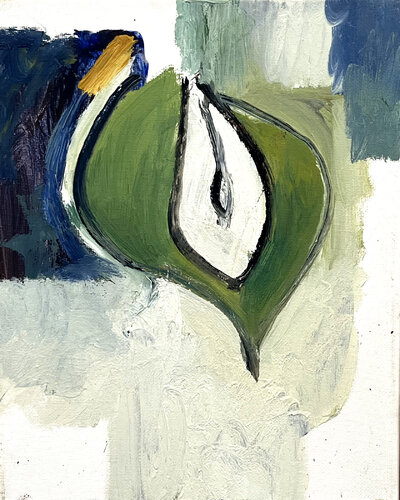 Spectacled Eider by David Sheldon, Painting for Sale on Select