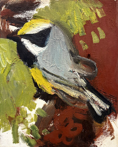 Yellow Winged Warbler by David Sheldon, Painting for Sale on Select