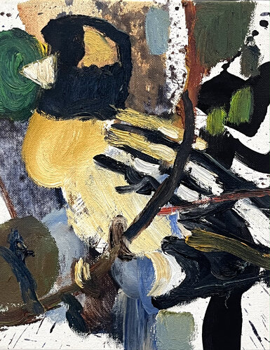 Black Grosbeak by David Sheldon, Painting for Sale on Select