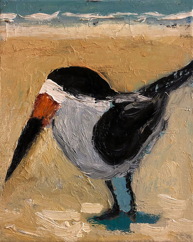 Black Skimmer by David Sheldon, Painting for Sale on Select