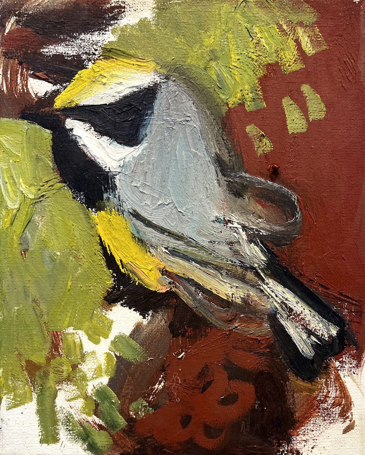 Yellow Winged Warbler David Sheldon Original painting for sale