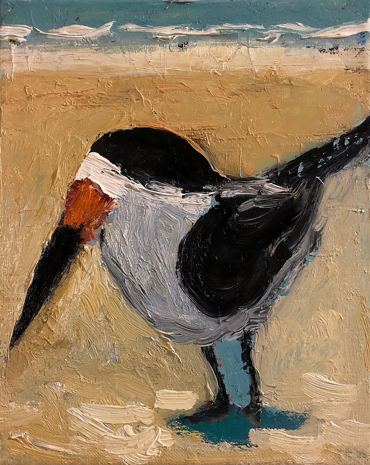Black Skimmer David Sheldon Original painting for sale