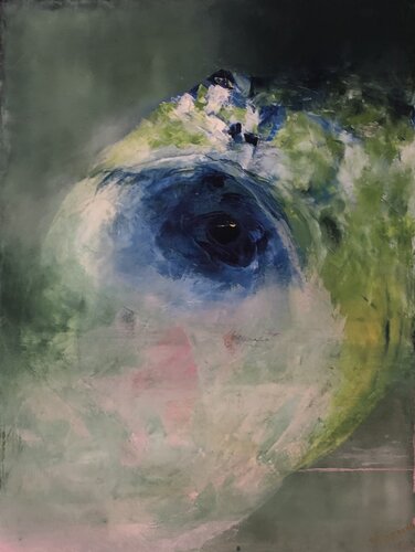 Eye by Ludmila Budanov, Painting for Sale on Select