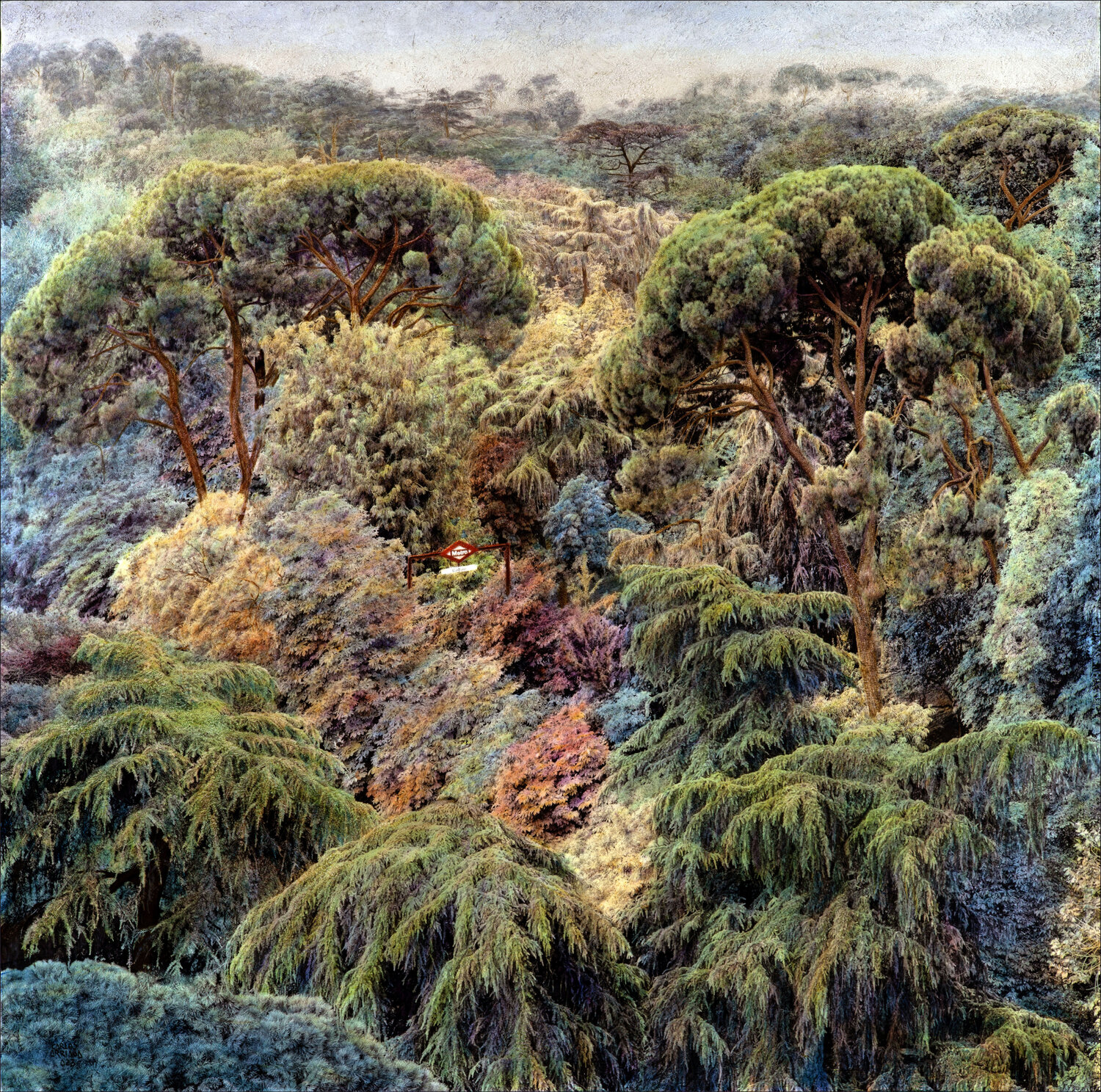 Invasión Natural # 3 Carlos Arriaga Original painting for sale
