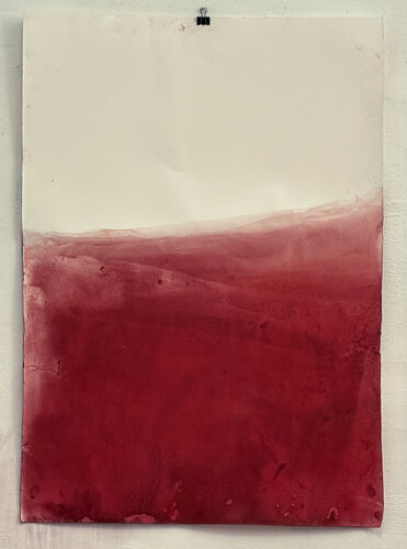 RED Landscape by Marilina Marchica, Drawing for Sale on Select