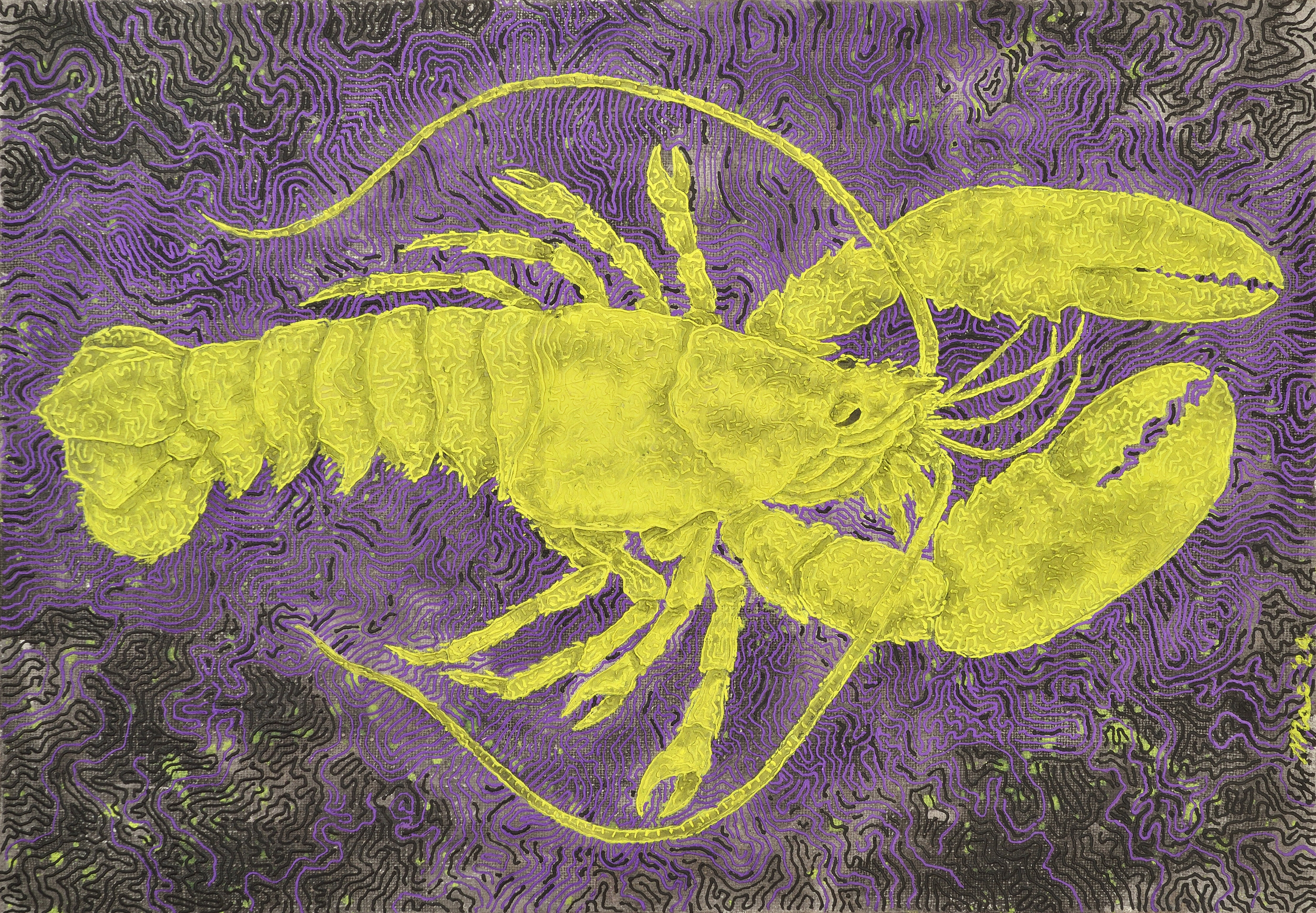 Yellow lobster