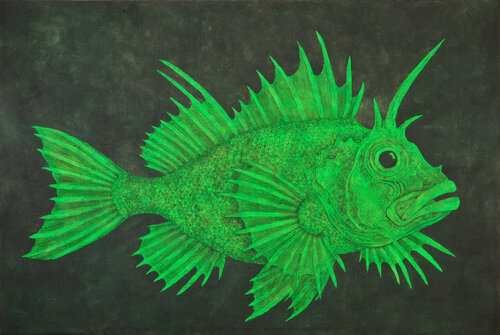 Green scorpionfish by Gian Luigi Delpin, Painting for Sale on Select