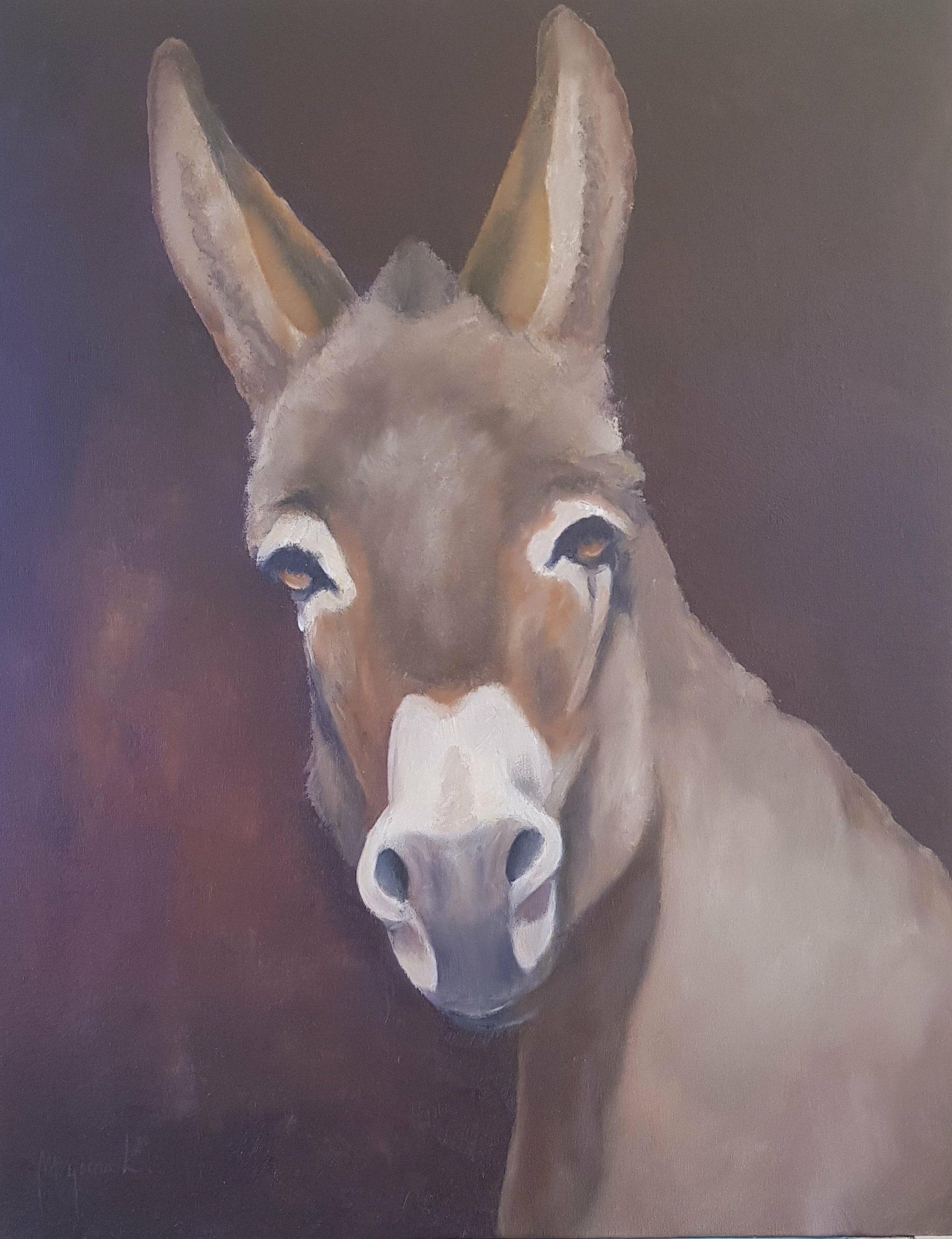 Topic Donkey