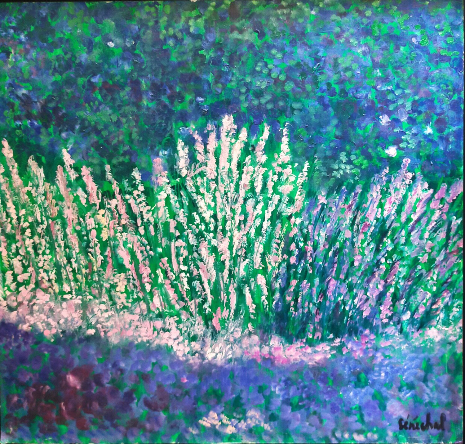 Lavandes provençales Catherine Sénéchal Original painting for sale