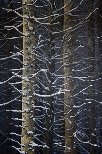 Bosco d'Inverno by Piero Casarin, Painting for Sale on Select