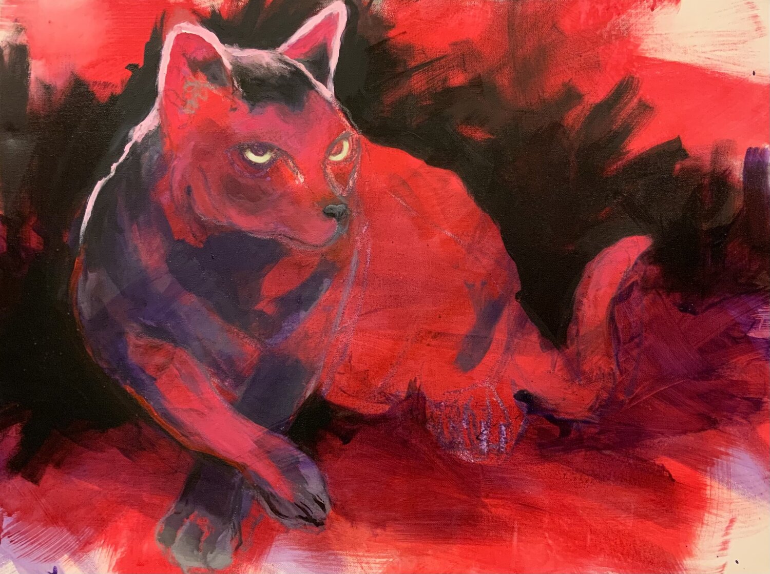 Supercat Susana Infurna Buscarino Original painting for sale