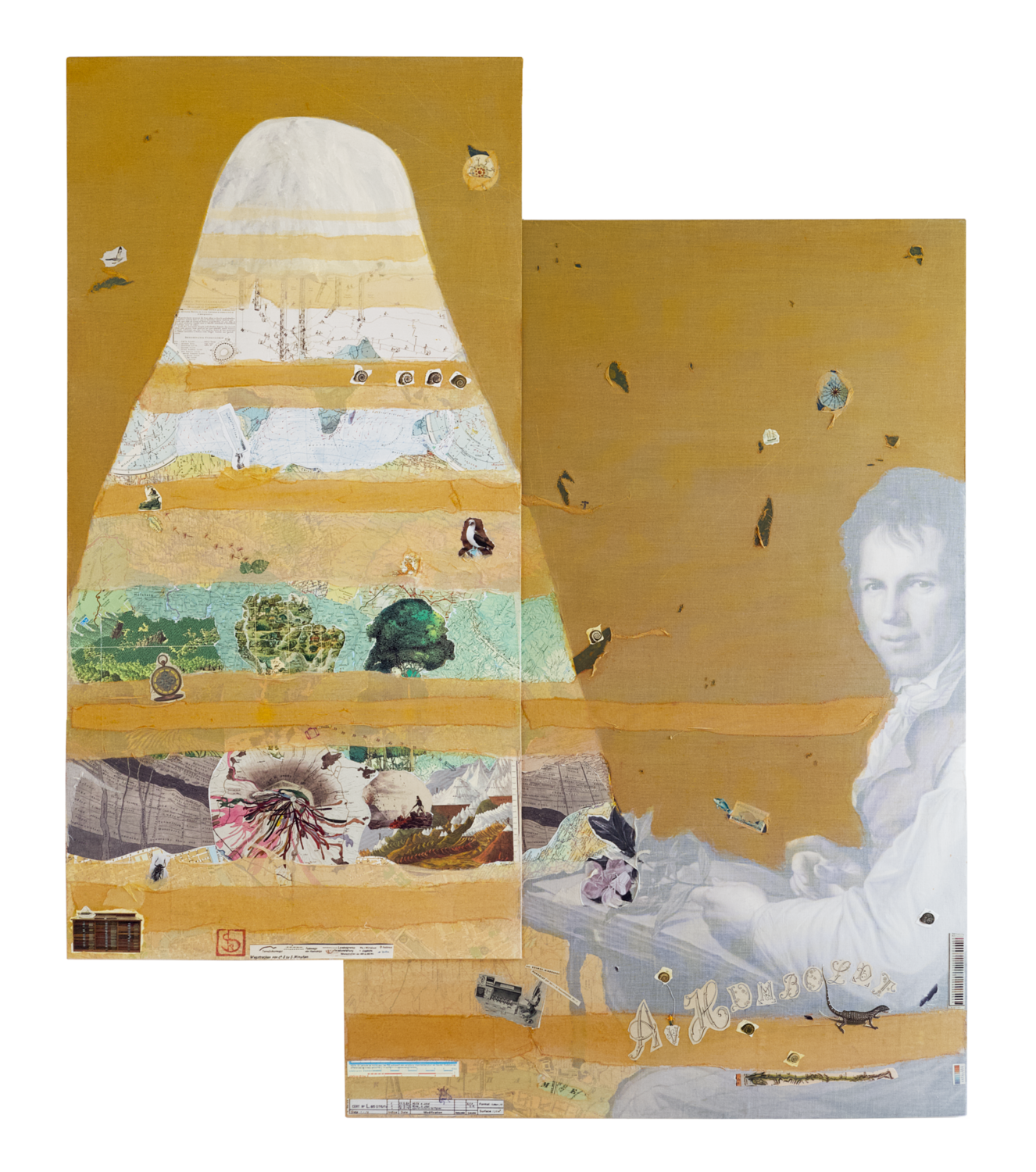 A. von Humboldt Karin Schäfer Original painting for sale