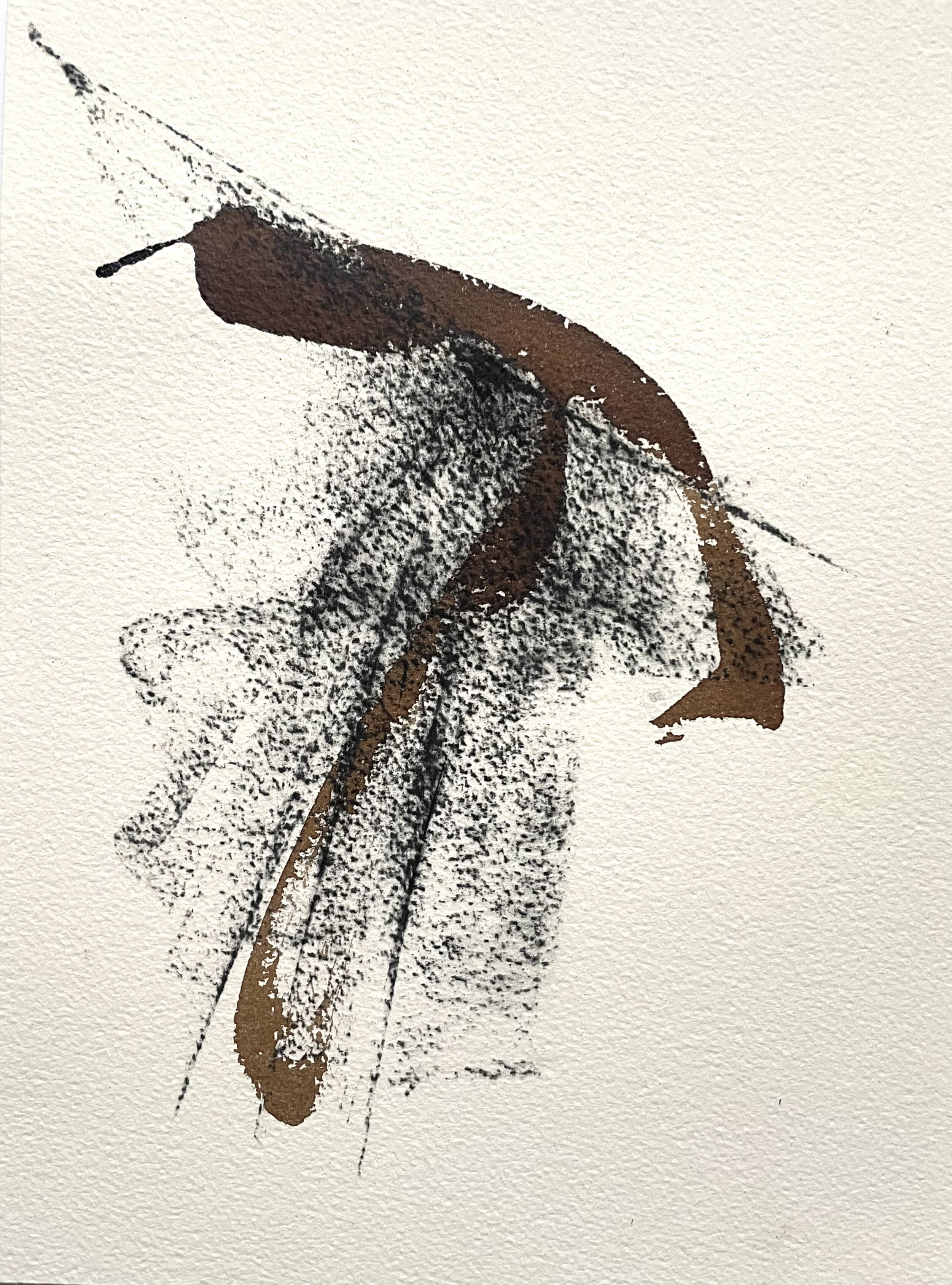 Les Ailes déployées 3