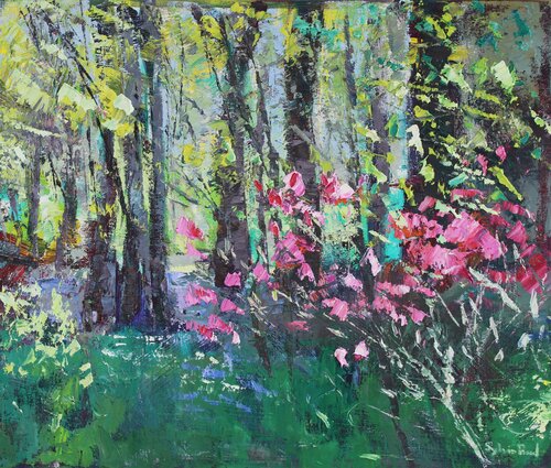 Woods in Spring by Sylvia Paul, Painting for Sale on Select