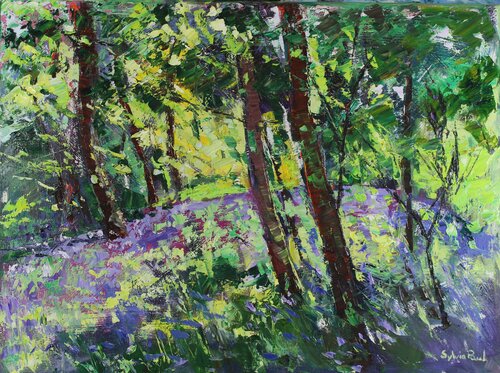 Bluebells in Springtime by Sylvia Paul, Painting for Sale on Select